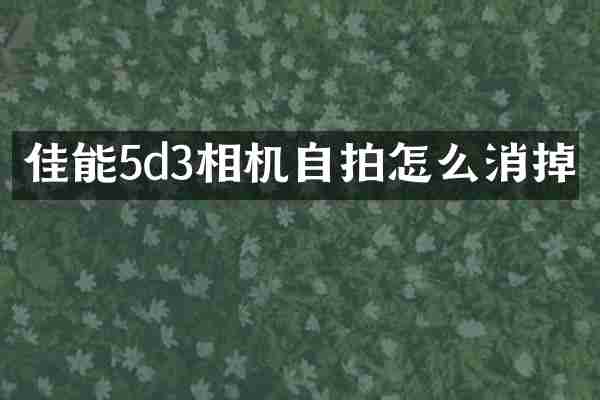 佳能5d3相机自拍怎么消掉