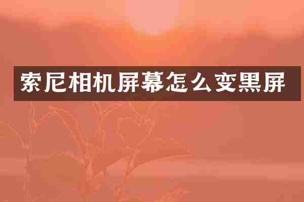 索尼相机屏幕怎么变黑屏