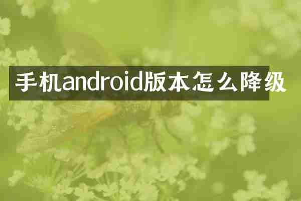 手机android版本怎么降级
