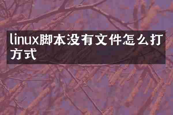 linux脚本没有文件怎么打开方式