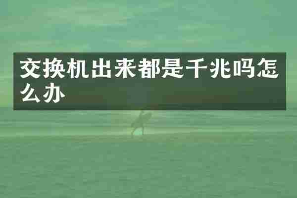 交换机出来都是千兆吗怎么办