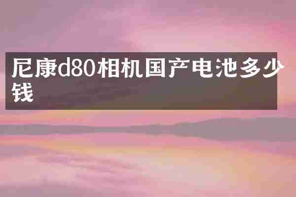 尼康d80相机国产电池多少钱
