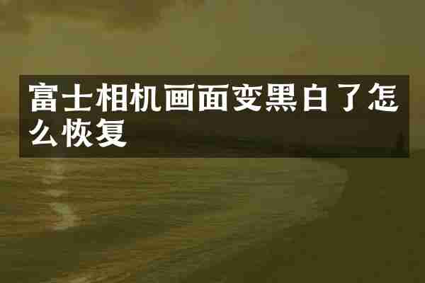 富士相机画面变黑白了怎么恢复