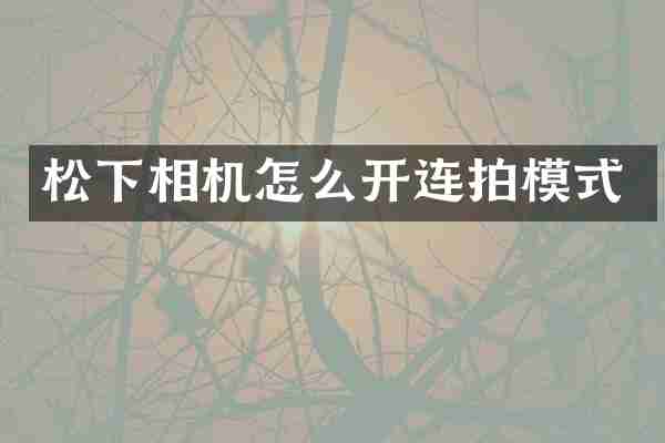 松下相机怎么开连拍模式
