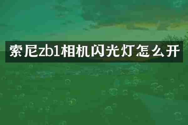 索尼zb1相机闪光灯怎么开