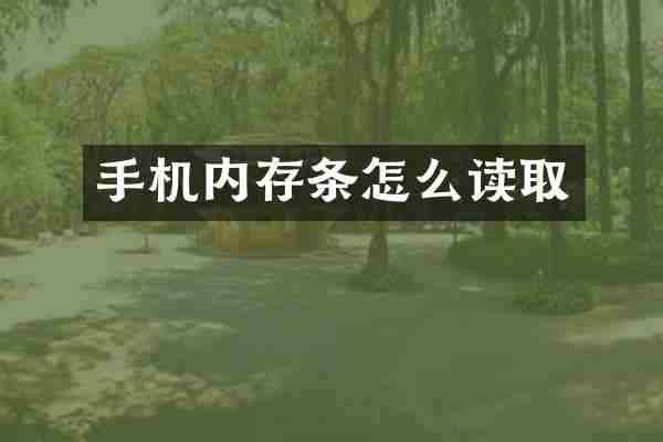 手机内存条怎么读取