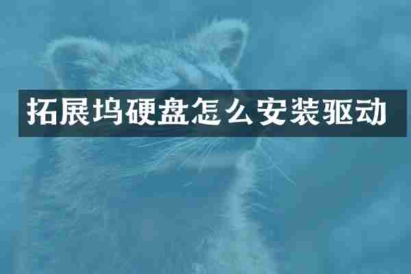 拓展坞硬盘怎么安装驱动