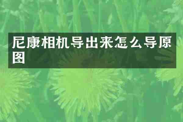 尼康相机导出来怎么导原图