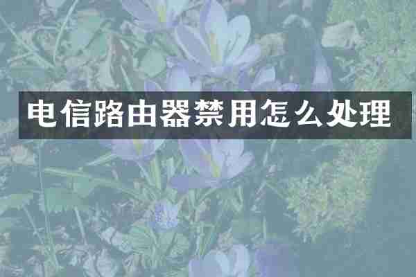 电信路由器禁用怎么处理