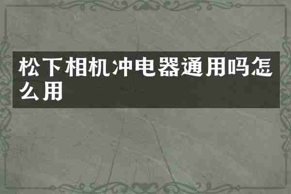 松下相机冲电器通用吗怎么用