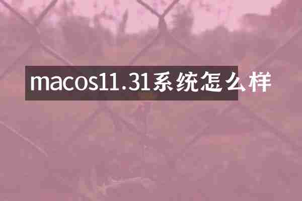 macos11.31系统怎么样