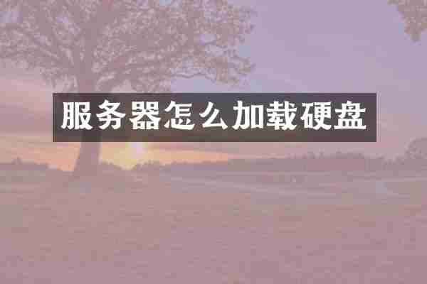 服务器怎么加载硬盘