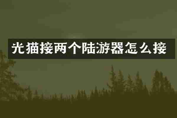 光猫接两个陆游器怎么接