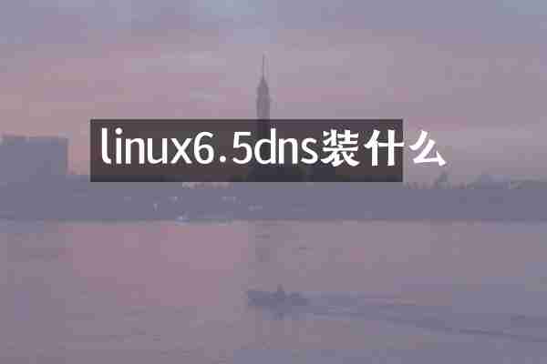 linux6.5dns装什么