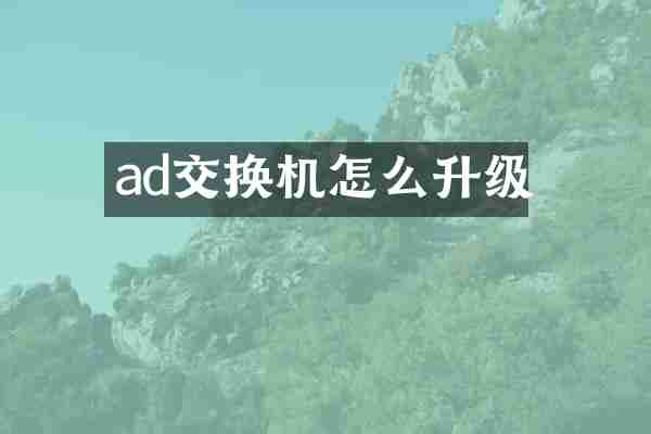 ad交换机怎么升级
