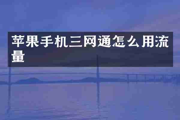 苹果手机三网通怎么用流量