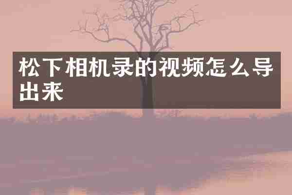 松下相机录的视频怎么导出来