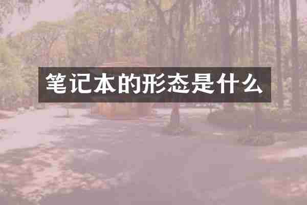 笔记本的形态是什么