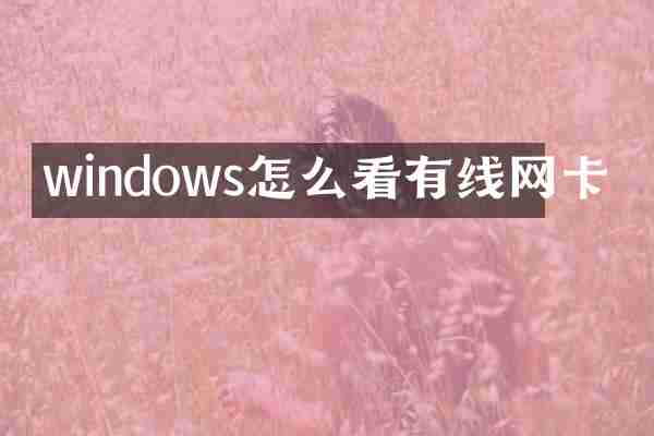 windows怎么看有线网卡