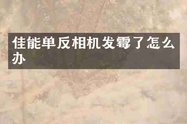 佳能单反相机发霉了怎么办