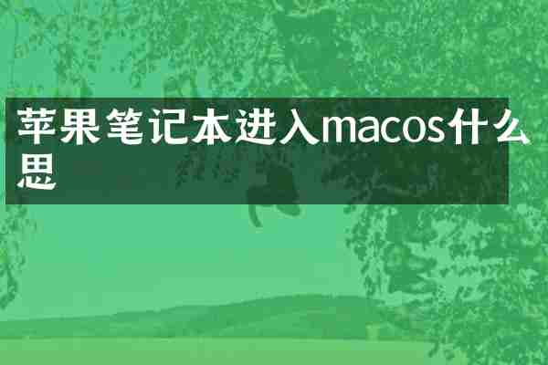 苹果笔记本进入macos什么意思
