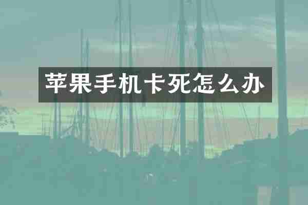 苹果手机卡死怎么办