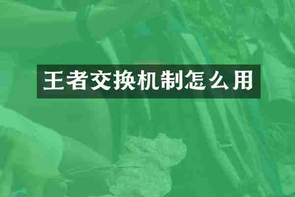 王者交换机制怎么用