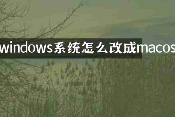 windows系统怎么改成macos