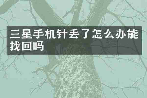 三星手机针丢了怎么办能找回吗
