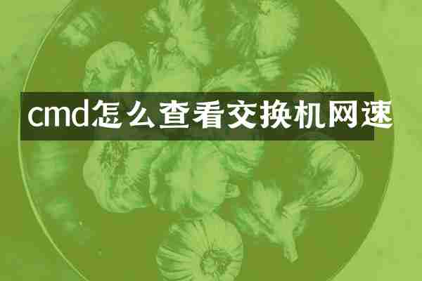 cmd怎么查看交换机网速