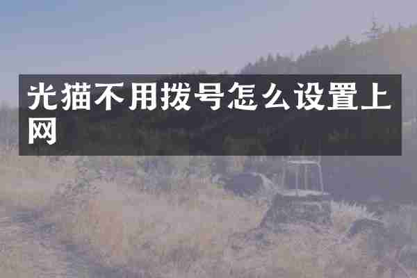 光猫不用拨号怎么设置上网
