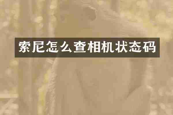 索尼怎么查相机状态码
