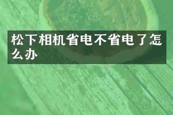 松下相机省电不省电了怎么办