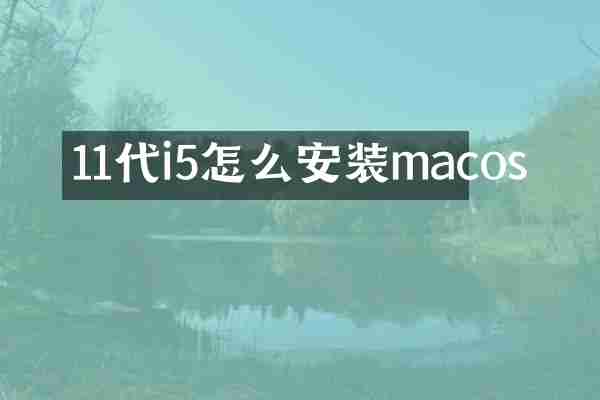 11代i5怎么安装macos
