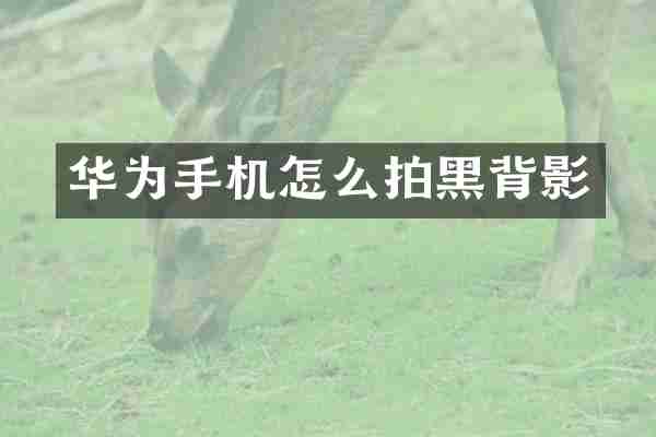 华为手机怎么拍黑背影