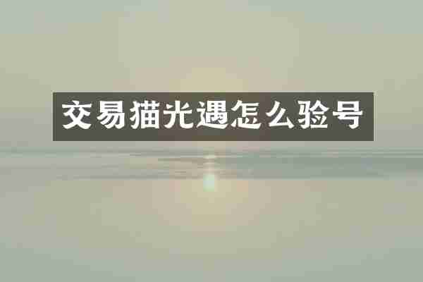 交易猫光遇怎么验号