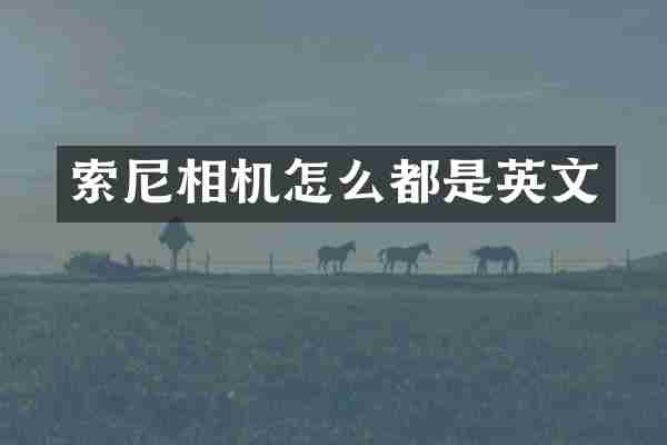 索尼相机怎么都是英文