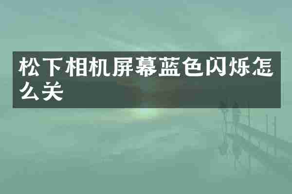松下相机屏幕蓝色闪烁怎么关