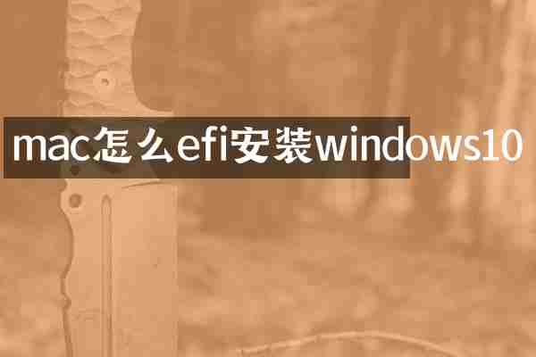 mac怎么efi安装windows10