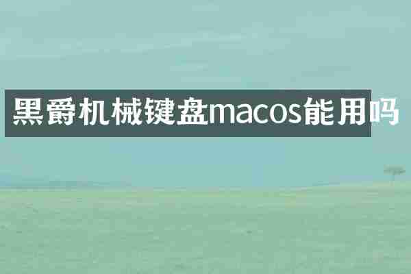 黑爵机械键盘macos能用吗
