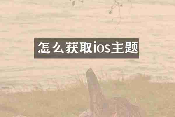 怎么获取ios主题