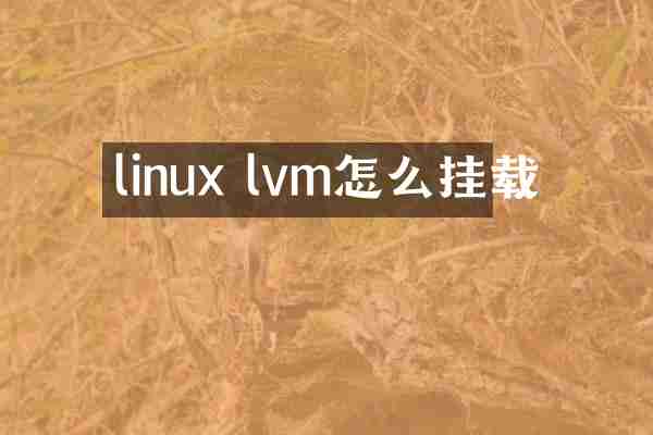 linux lvm怎么挂载