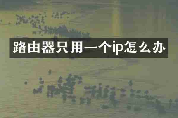 路由器只用一个ip怎么办
