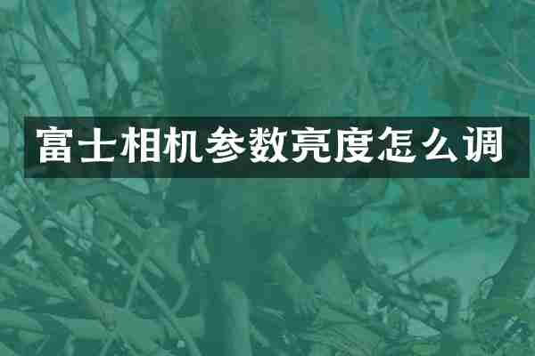 富士相机参数亮度怎么调