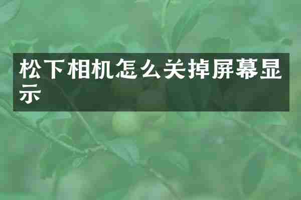 松下相机怎么关掉屏幕显示