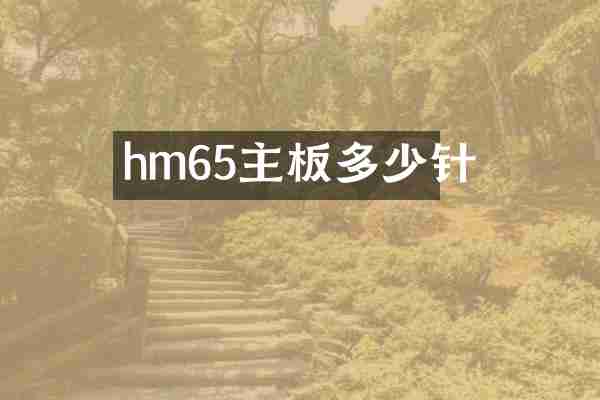 hm65主板多少针