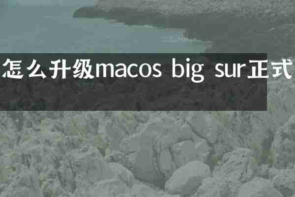 怎么升级macos big sur正式版