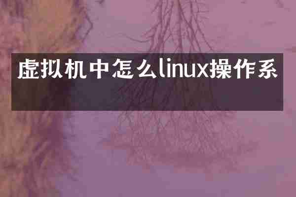 虚拟机中怎么linux操作系统