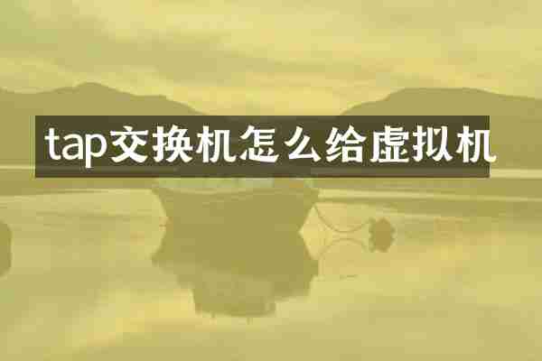 tap交换机怎么给虚拟机