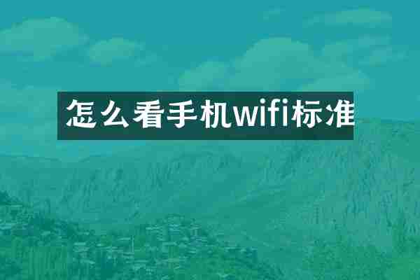 怎么看手机wifi标准